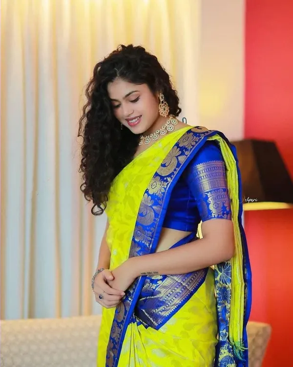 Light_Green_Embellished_Banarasi_Jacquard_Saree_(Light_Green)